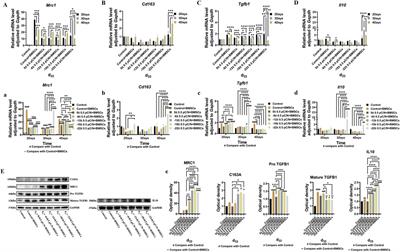 Investigation of the impact of planar microelectrodes on macrophage-mediated mesenchymal stem cell osteogenesis